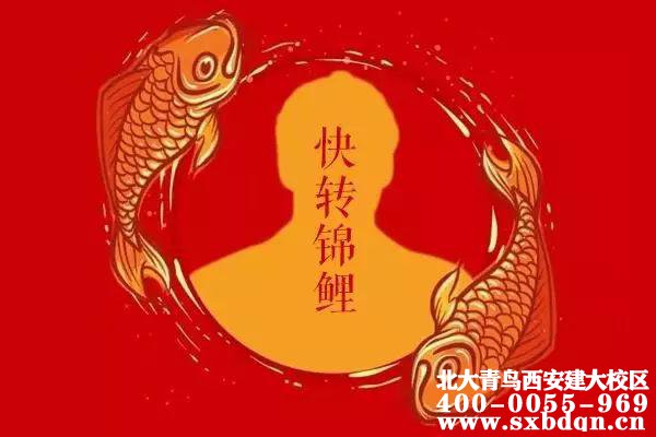 还在转发锦鲤欺骗自己？北大青鸟：努力才是你_北大青鸟_西安建大IT学院_wwwsxbdqncn